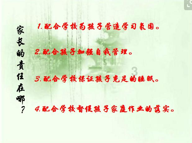 可爱的小考拉